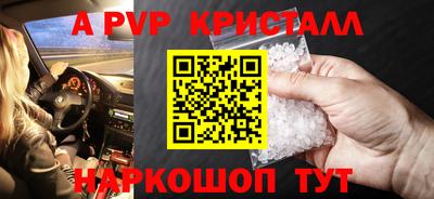 спиды Кингисепп