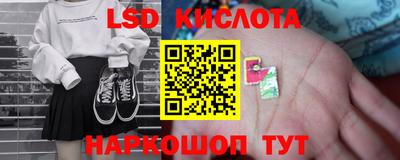 спиды Кингисепп